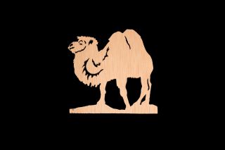 03. Desert Caravan 4WW