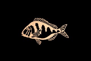 176. White Bone Porgy 65ML