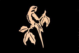 41. Tail Feathers 48WW