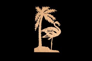 81. Florida Flash 22NA